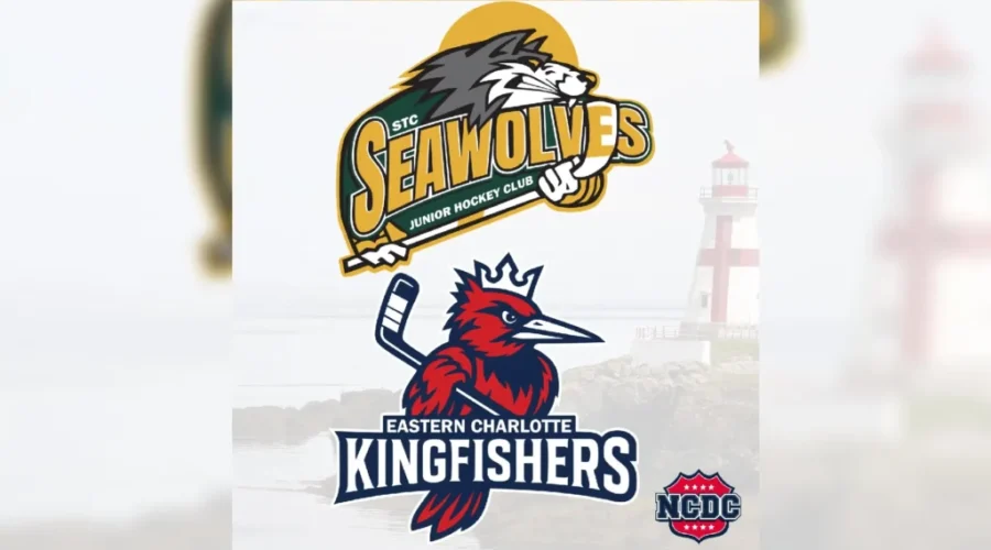 Names revealed for Charlotte County hockey teams