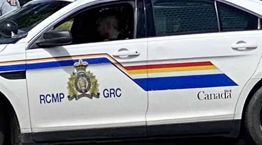 Information needed after pedestrian struck in Sussex