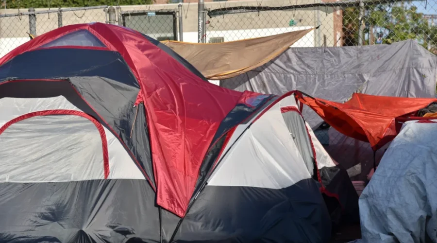 Homelessness numbers triple in N.B. cities: report
