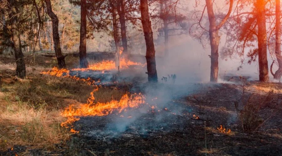 UPD:  34 active wildfires in N.B.