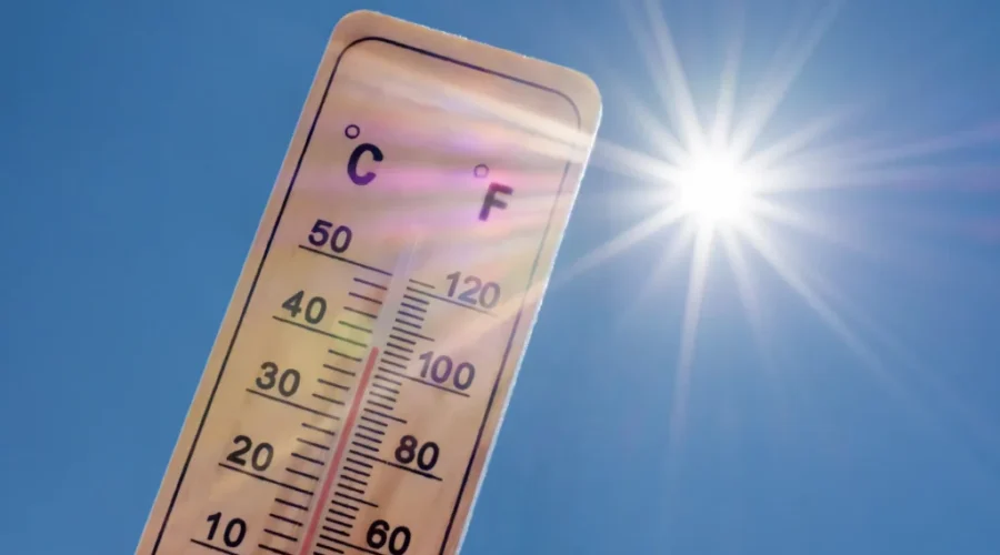 More heat warnings and more temperature records for N.B.