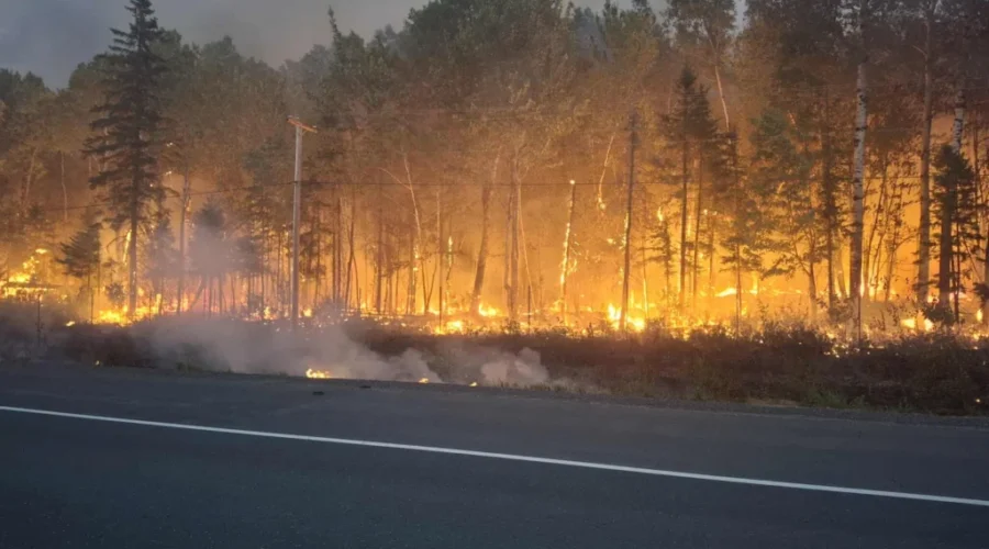 19 wildfires now burning across N.B.
