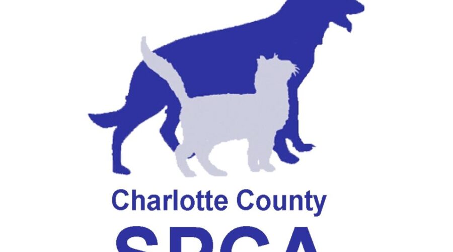 Patches & Bonnie are waiting for you.