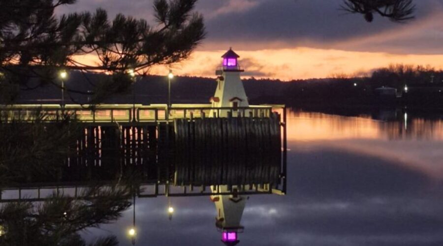 Your Charlotte County: Your Gateway to Local Life
