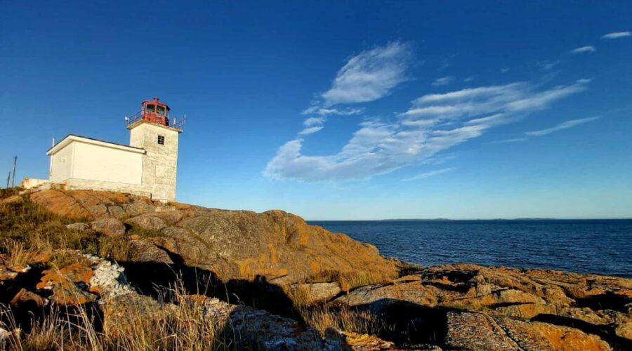 Everything You Didn’t Know About Pea Point Lighthouse!