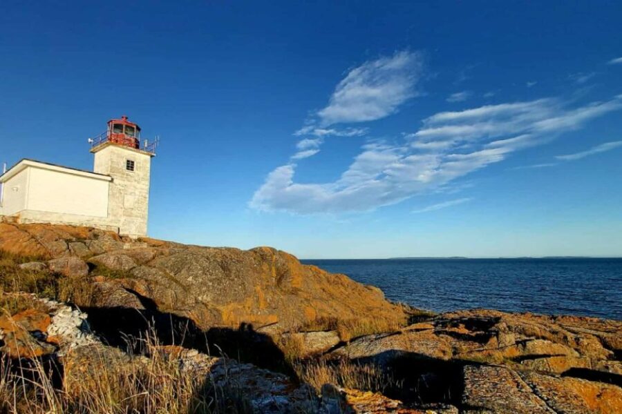 Everything You Didn’t Know About Pea Point Lighthouse!