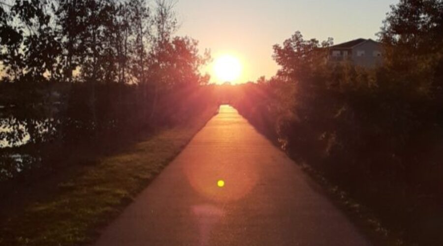 Everything You Didn’t Know About the Coastal Link Trail!