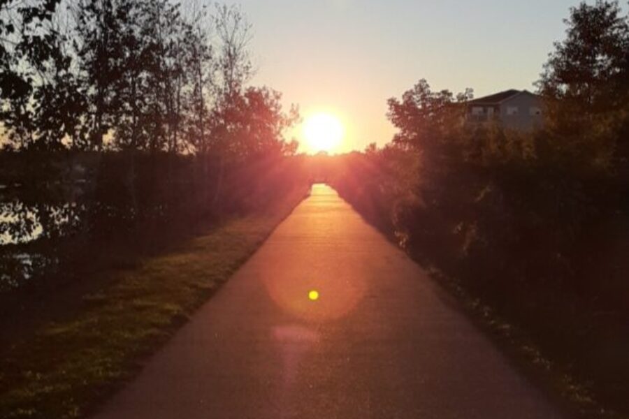 Everything You Didn’t Know About the Coastal Link Trail!