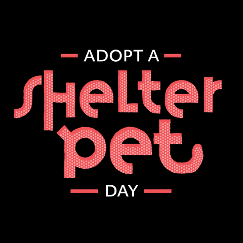 Ruby is our Pet of the week!