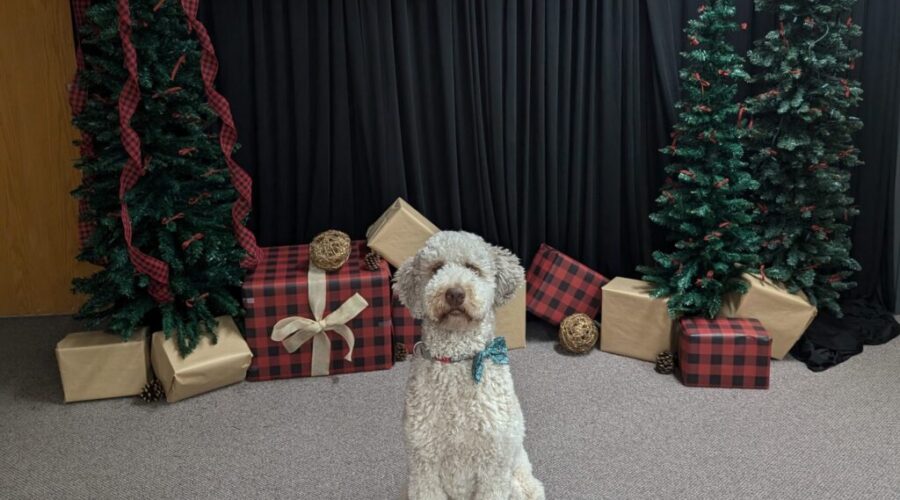 LEAKED: Mack’s letter to Santa Paws