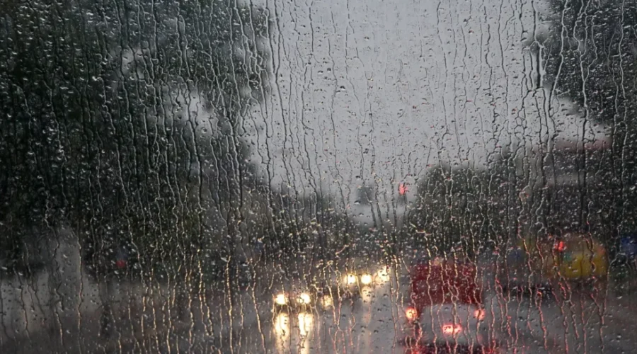 Warm, wet and windy system targets southern N.B.