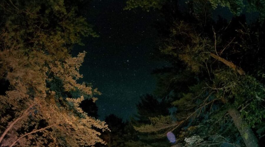 December is a Month to Watch the Skies, Charlotte County!