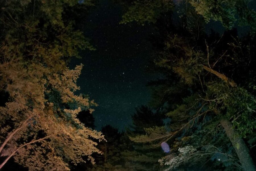 December is a Month to Watch the Skies, Charlotte County!
