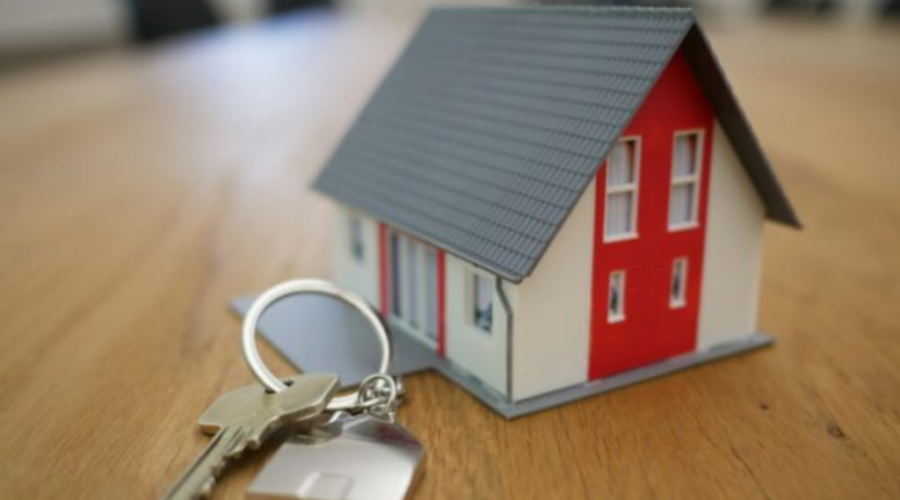 The Most Important Qualities to Look for in a Realtor — According to Ray