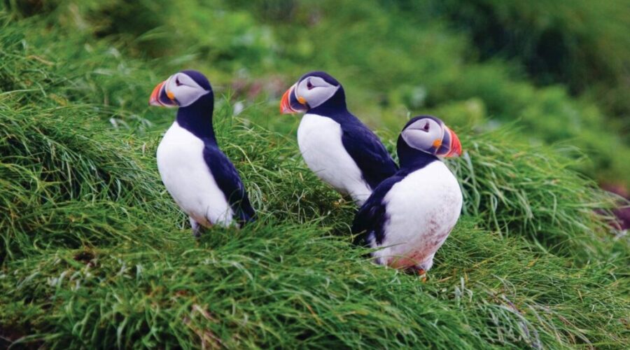 More Canadians donating land for conservation work