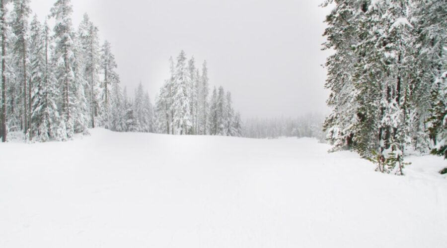 Snowfall expected to start the new year in N.B.