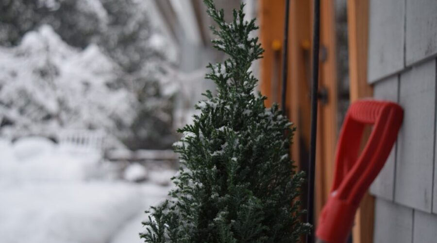 UPD: Shovels and salt ready? Snow, ice and rain expected