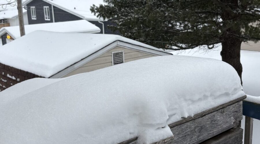 Snowfall to continue into Monday night
