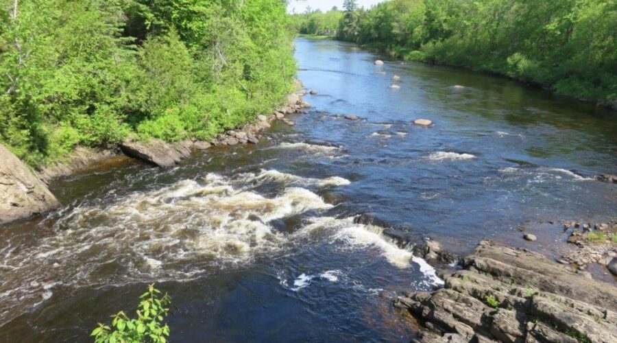 A Brief History of Piskahegan