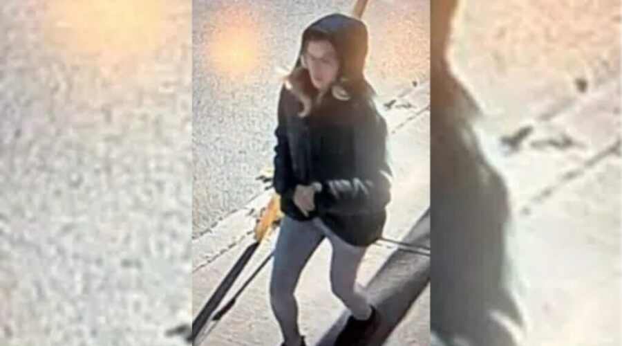 Police seek woman after arson on Prince Edward Street