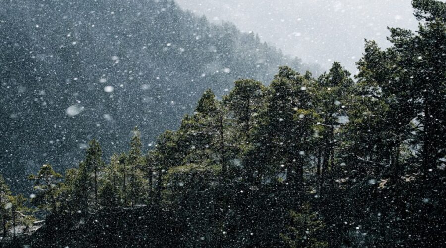 Widespread variation in New Brunswick snowfall totals
