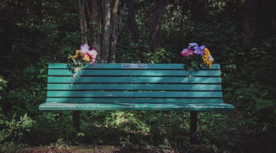 Memorial Bench Program launched in Saint John