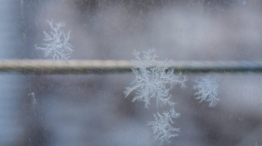 Bundle up! Cold alerts in effect across N.B.