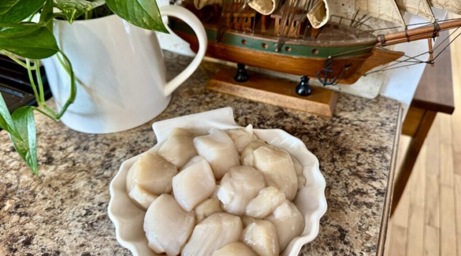 Supporting Our Local Fishermen: Scallop Season Is in Full Swing!