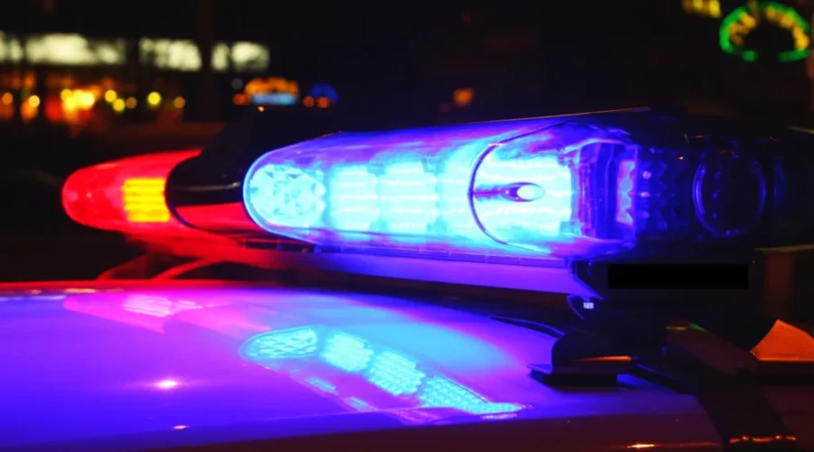 Drugs, cash seized during Que. and N.B. police raids