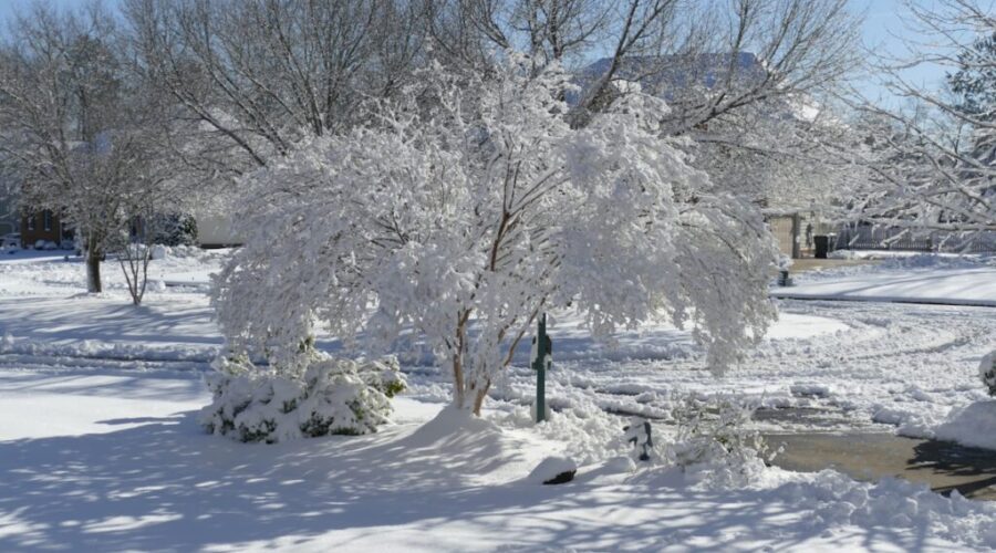 Snowfall warnings issued for southern N.B.