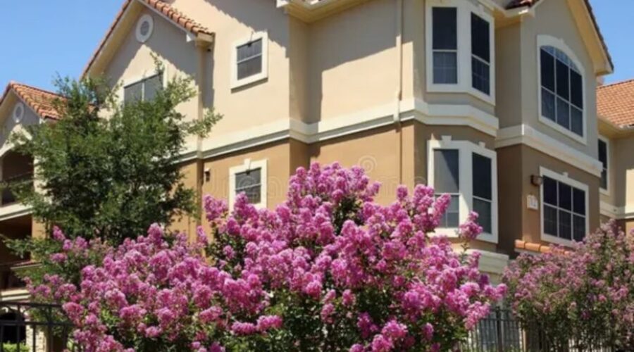 𝐘𝐞𝐬, 𝐬𝐩𝐫𝐢𝐧𝐠 𝐨𝐟𝐭𝐞𝐧 𝐛𝐫𝐢𝐧𝐠𝐬 𝐡𝐢𝐠𝐡𝐞𝐫 𝐬𝐚𝐥𝐞 𝐩𝐫𝐢𝐜𝐞𝐬.