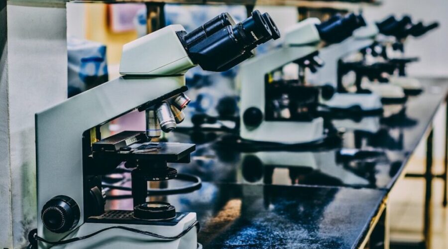 N.B. invests $6M in research council