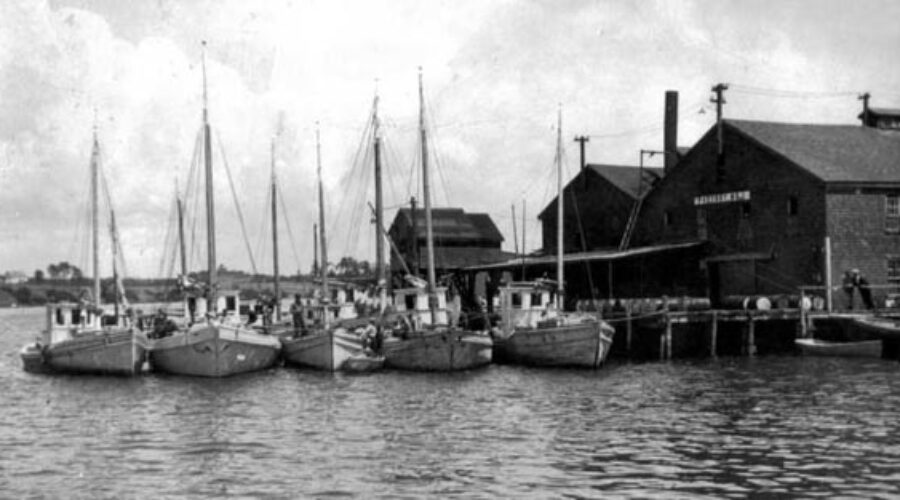 A Look at the Massive Industrial Output of Early Charlotte County