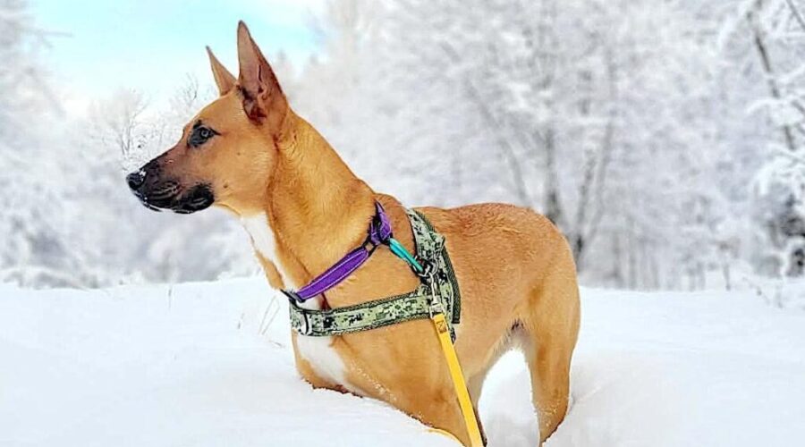 Beasley is still looking for a home