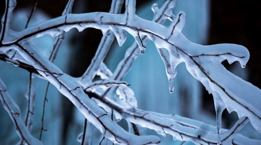 Storm to bring mixed precipitation to N.B. midweek