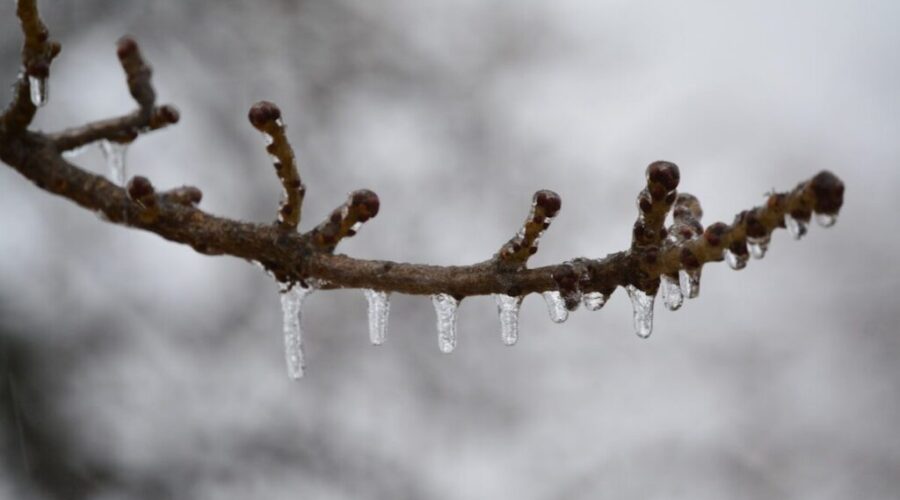 Snow, freezing rain ice and rain in the N.B. forecast