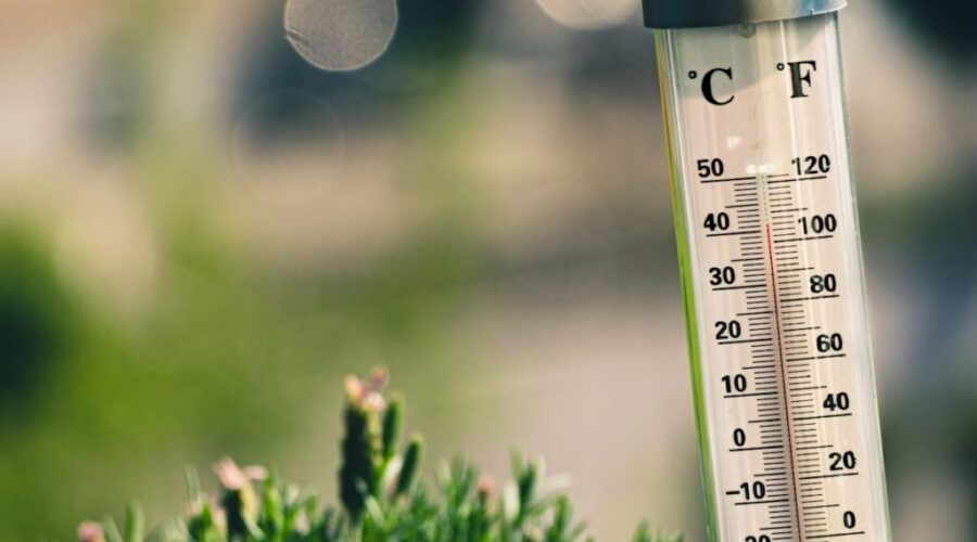 Record temperatures set in N.B.