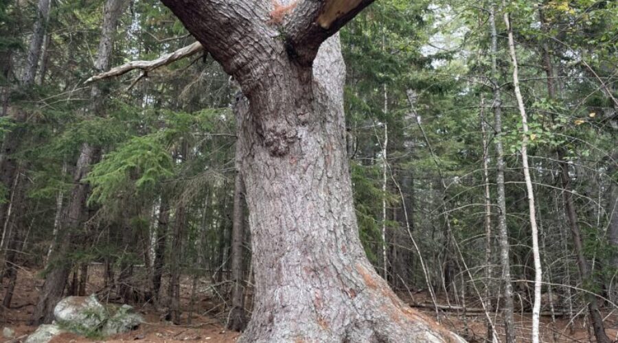 Water Cooler Talk (April 20 – April 26)