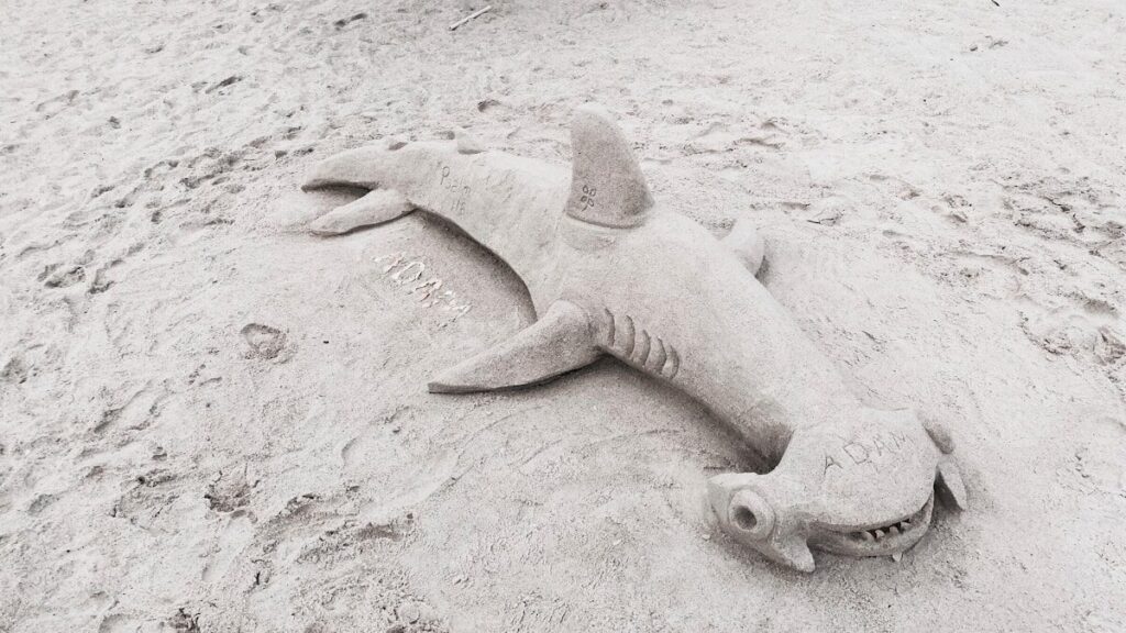 a sand sculpture of a shark on a beach