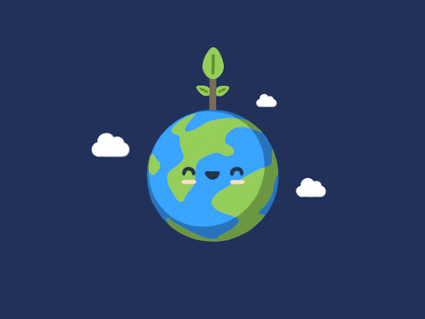Today is Earth Day – Let’s Keep Charlotte County Beautiful