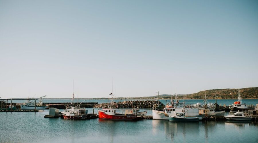Feds invest $958M in small craft harbours