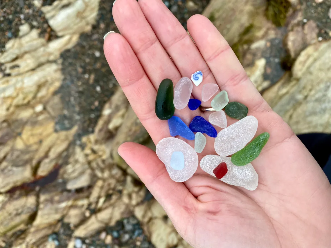 Rare Seaglass in New Brunswick