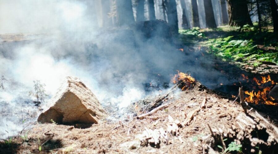 Fires banned over May long weekend