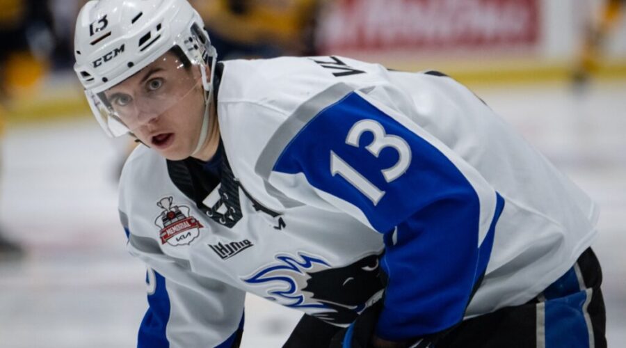 Maritime leadership lifts Toronto Marlies to Calder Cup title