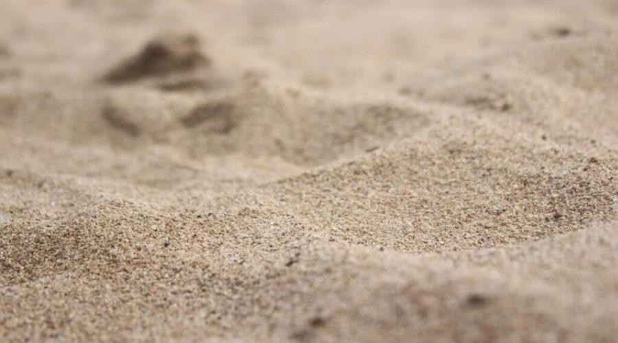 Four Saint John-area beaches temporarily closed due to E.coli
