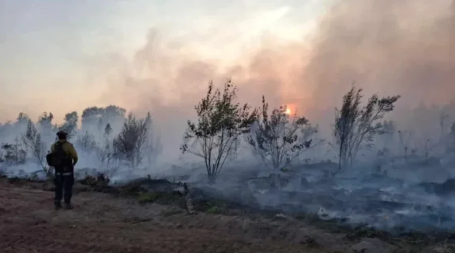 New Brunswick launches enhanced wildfire information source