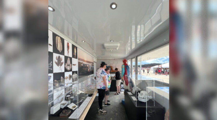 New Brunswick Museum takes history on the road with mobile exhibit
