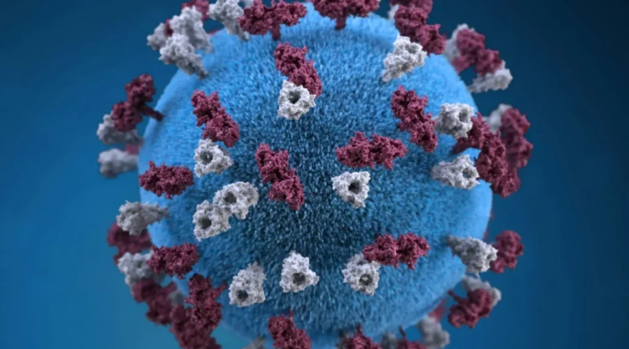 Measles exposure alert issued in N.B.