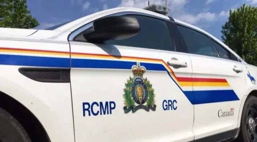 St. Stephen man arrested, firearm seized