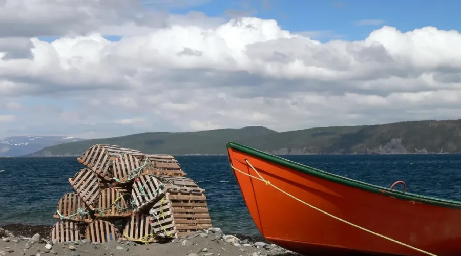 Unified Fisheries Conservation Alliance fighting court ruling